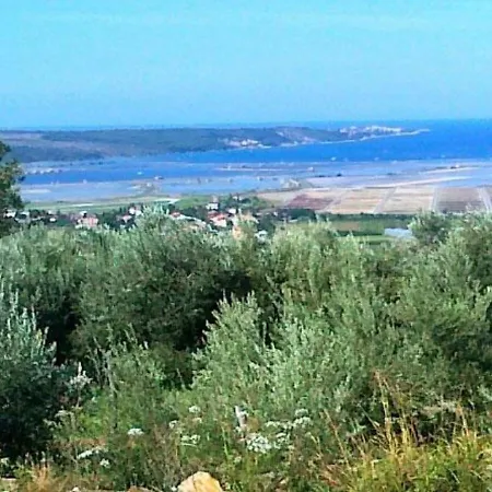 Kmetija Medljan Izola