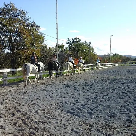 Kmetija Medljan Alojamento de Turismo Rural