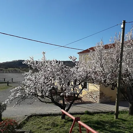 Kmetija Medljan Farm stay Izola