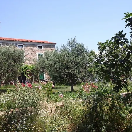 Kmetija Medljan