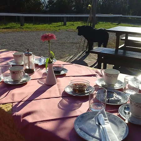 Kmetija Medljan Farm stay *
